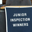 Good Inspection Award