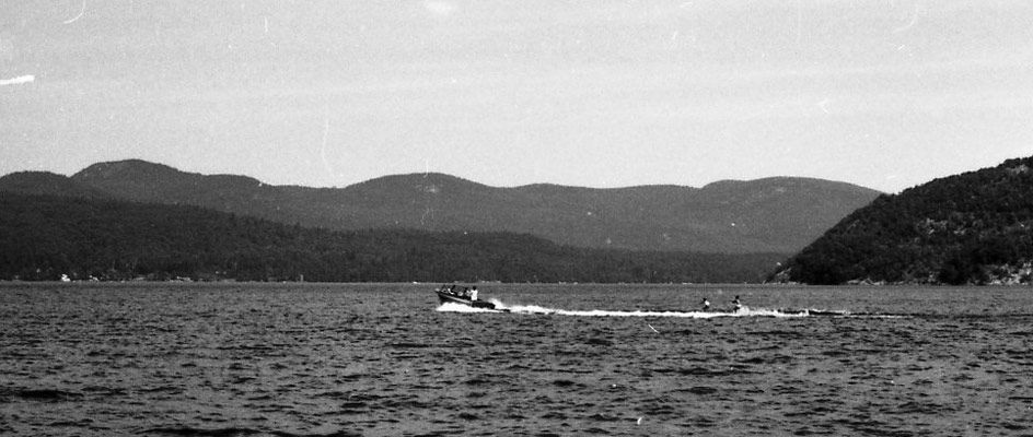Adirondack-eaglet